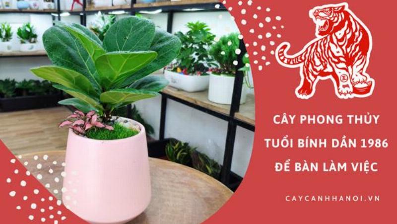 Bó hoa mừng sinh nhật màu đỏ cam tím cho người tuổi Bính Dần 1986